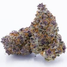purple rozay strain